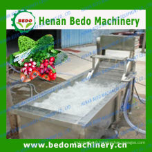800-1000kg / h capacityozon laveuse de légumes à vendre